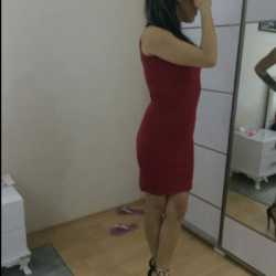 elisa2